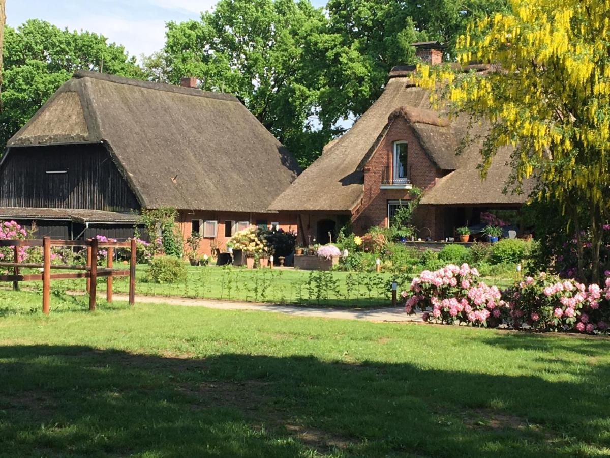 Huck'S Ferienhaeuser Borstel  Buitenkant foto