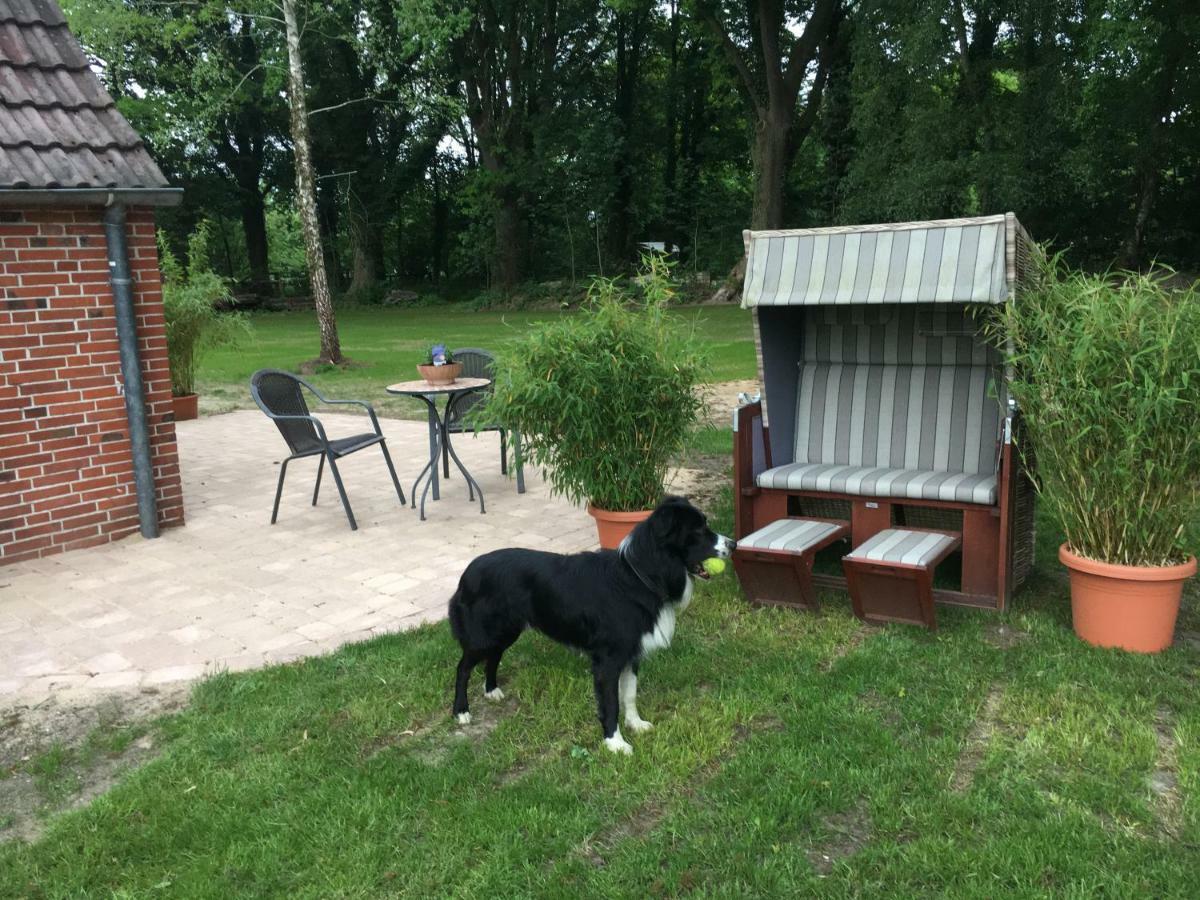 Huck'S Ferienhaeuser Borstel  Buitenkant foto