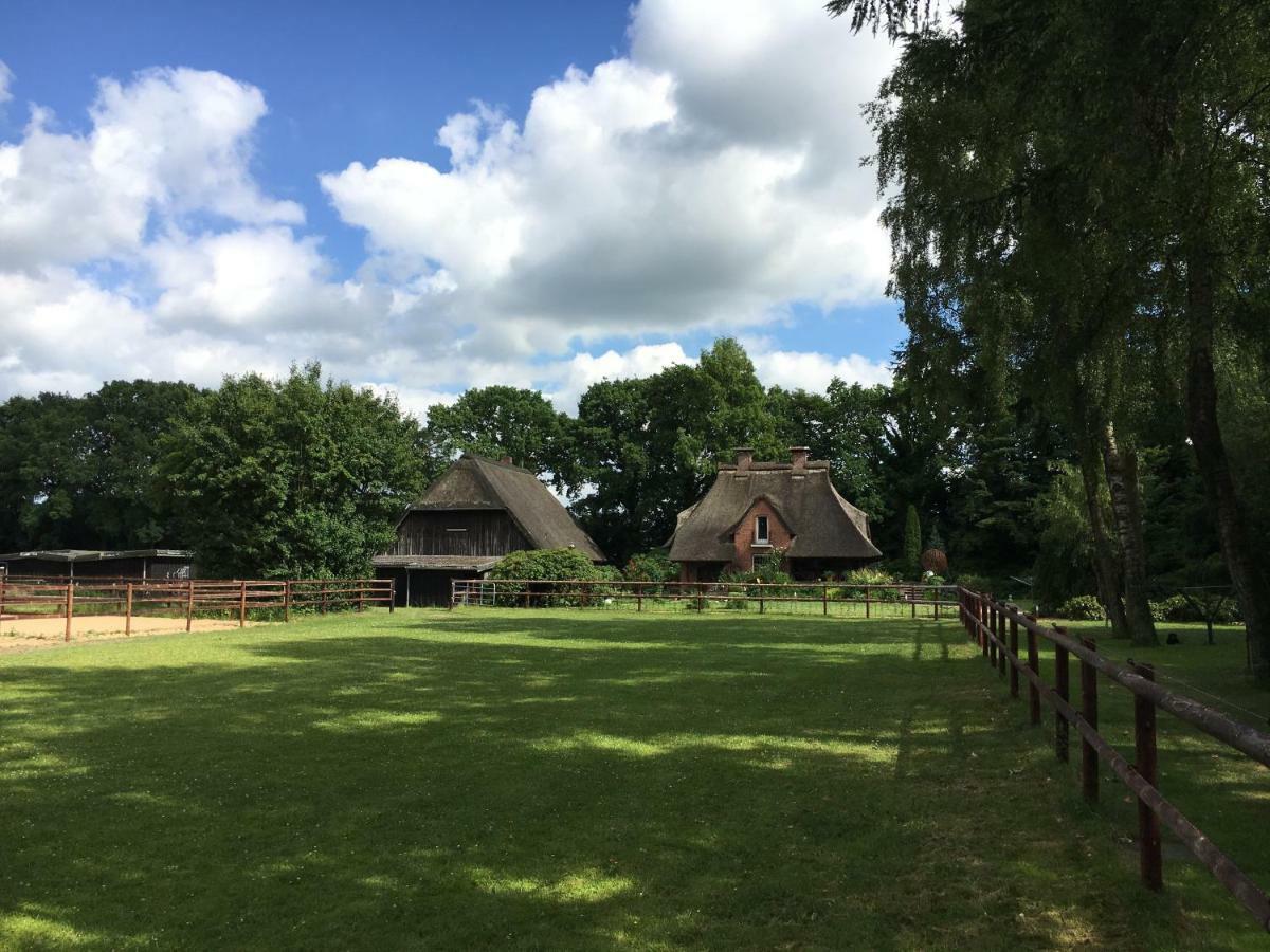 Huck'S Ferienhaeuser Borstel  Buitenkant foto