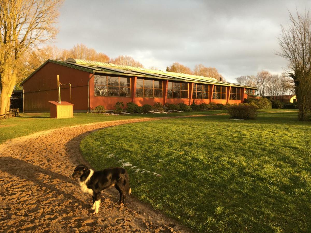 Huck'S Ferienhaeuser Borstel  Buitenkant foto